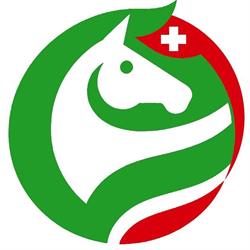 Écurie Failletaz, manège privé. Pension pour chevaux