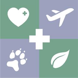 Vet Travel