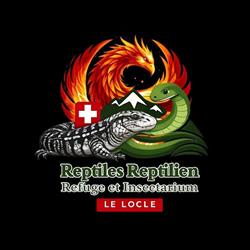 Reptiles-Reptilien