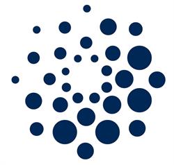 Innopulse Consulting