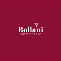 Azienda Vitivinicola Stefano Bollani
