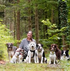 Hundespazierdienst Rudelspaziergänge Burgdorf