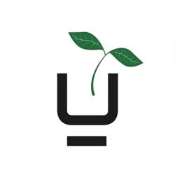 Umami Vegane Cuisine