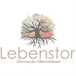 Lebenstor