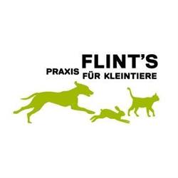 Flint‘s Praxis für Kleintiere