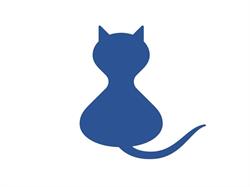 Autismusverlag