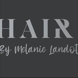 Hair Art by Melanie Landolt