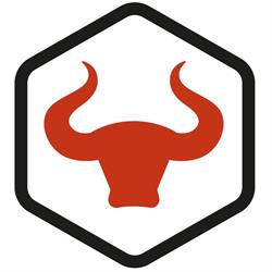 BullDE GmbH