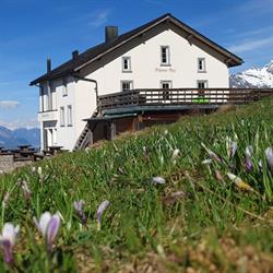 Bündner Rigi