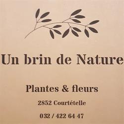 Un brin de Nature