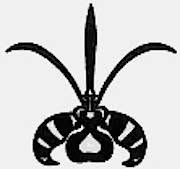 Orchideenverein Zürich