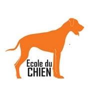 Ecole du chien