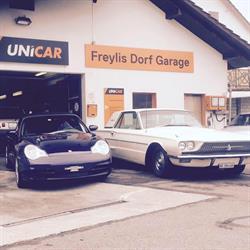 Freylis Dorf Garage