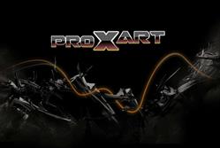 Pro X Art