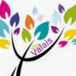 Psy Valais