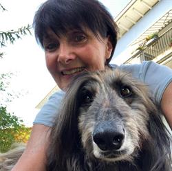 MAGIC&FRIENDS DOGSITTING & MORE