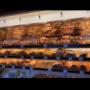 Bäckerei-Konditorei Christen