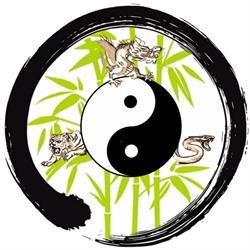 Võ c? truy?n Lausanne - Kung Fu Vietnamien
