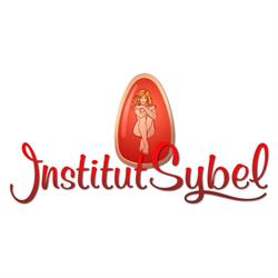 Institut Sybel