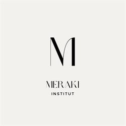 Meraki Institut
