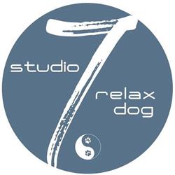 Studio 7 relax dog