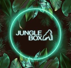 Lausanne jungle box