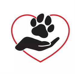 Verein schutzbedürftige Hunde