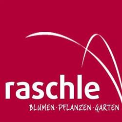 RASCHLE Uznach