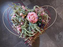 Blumen Althea Flower