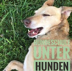 unter-hunden