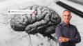 Neuro Sales-Psychology