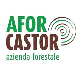 AFOR CASTOR Sagl