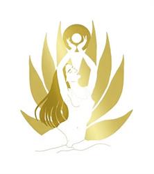The Divine Yoga Studio