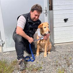 Hundeschule LEIKA