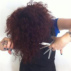 Salone Doris