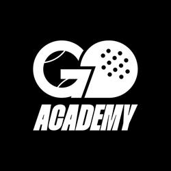 GoAcademy Sagl
