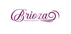 Brioza