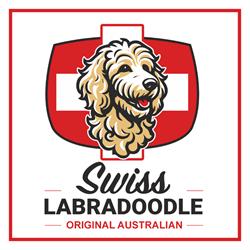 Australian Labradoodle Zucht Radius