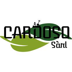 Cardoso Sàrl Paysagisme & Maçonnerie
