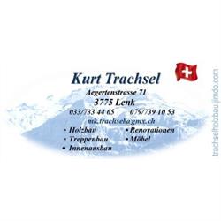 Holzbau Trachsel