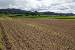 LANDI Laden und Agrar-Center Adlikon