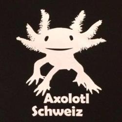 Axolotl-schweiz Thomas Christen