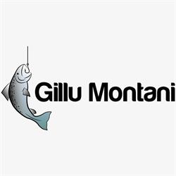 Gillu Montani