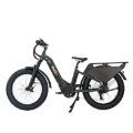 Cargo Beast 25 km/h