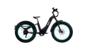 City e-bike 25 km:h