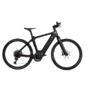Adventure Beast 25 km/h