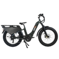 electric bike cargo 45 km