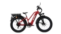 Mighty Beast 45 km/h