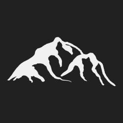 Conseiller financier