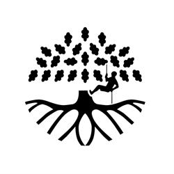 Baum Stieger - Baumpflege im Rheintal